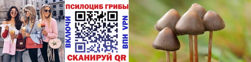 Галлюциногенные грибы Magic Shrooms  Красный Холм 